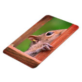 Magnet Flexible Écureuil de Pékin (Côté Gauche)