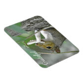 Magnet Flexible Écureuil gracieux (Côté Droit)