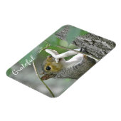 Magnet Flexible Écureuil gracieux (Côté Gauche)