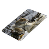 Magnet Flexible Écureuil Mangeant sur le mangeur d'oiseaux de lapi (Côté Gauche)