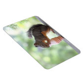Magnet Flexible Écureuil mangeant un cône de glace (Côté Droit)