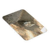 Magnet Flexible Écureuil mignon en Yosemite, CA (Côté Droit)