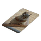 Magnet Flexible Écureuil mûr à la branche (Côté Gauche)