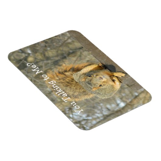 Magnet Flexible Écureuil (Vous Parlez) (Côté Droit)