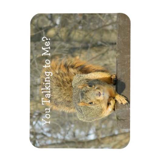 Magnet Flexible Écureuil (Vous Parlez) (Vertical)