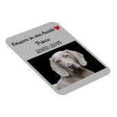 Magnet Flexible Editable Grey Pour Toujours Dans Nos Coeurs Pet Me (Côté Droit)