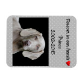 Magnet Flexible Editable Grey Pour Toujours Dans Nos Coeurs Pet Me (Horizontal)