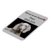 Magnet Flexible Editable Grey Pour Toujours Dans Nos Coeurs Pet Me (Côté Gauche)