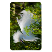 Magnet Flexible Egret neigeux (Vertical)