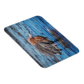 Magnet Flexible Egret rouge sur North Beach (Côté Droit)