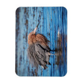Magnet Flexible Egret rouge sur North Beach (Vertical)
