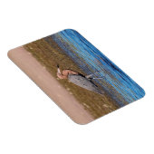 Magnet Flexible Egret rouge sur North Beach (Côté Droit)