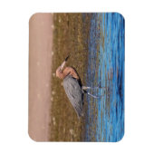 Magnet Flexible Egret rouge sur North Beach (Vertical)