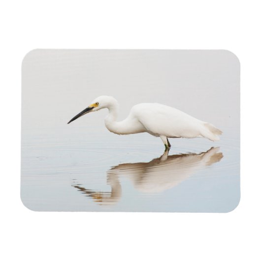 Magnet Flexible Egret sur étang calme (Horizontal)