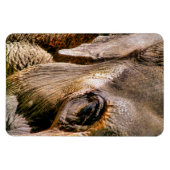 MAGNET FLEXIBLE ÉLÉPHANT (Horizontal)