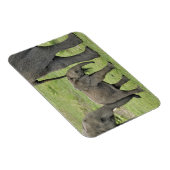 Magnet Flexible Eléphant africain avec bébé (Côté Droit)