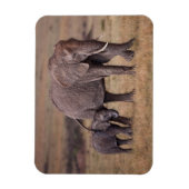 Magnet Flexible Eléphant africain avec bébé (Vertical)