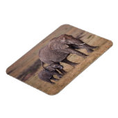 Magnet Flexible Eléphant africain avec bébé (Côté Gauche)