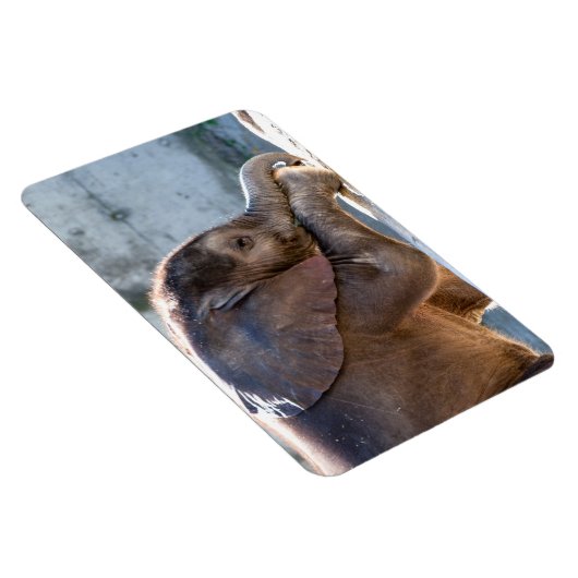 Magnet Flexible Eléphant bébé (Côté Droit)
