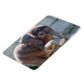 Magnet Flexible Eléphant bébé (Côté Gauche)