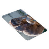 Magnet Flexible Eléphant bébé (Côté Droit)