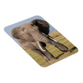 Magnet Flexible Éléphant dans une pose agressive (Côté Droit)