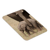 Magnet Flexible Éléphant de bébé africain avec mère (Côté Droit)
