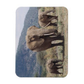 Magnet Flexible Éléphant mère marchant avec un éléphant jeune (Vertical)