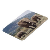 Magnet Flexible Éléphant mère marchant avec un éléphant jeune (Côté Gauche)