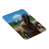 Magnet Flexible Éléphant Sri Lanka (Côté Droit)