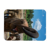Magnet Flexible Éléphant Sri Lanka (Horizontal)