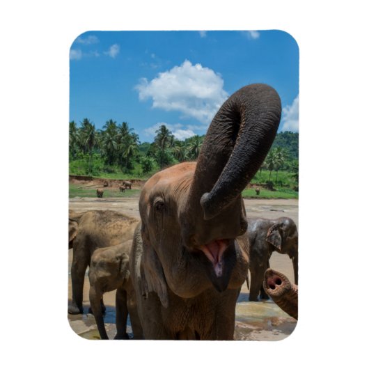 Magnet Flexible Éléphant Sri Lanka (Vertical)