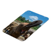 Magnet Flexible Éléphant Sri Lanka (Côté Gauche)