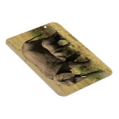 Magnet Flexible Eléphants africains (Côté Droit)
