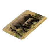 Magnet Flexible Eléphants africains (Côté Gauche)