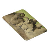 Magnet Flexible Eléphants d'Asie indienne (Côté Droit)