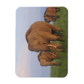 Magnet Flexible Éléphants indiens dans la prairie (Vertical)
