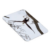 Magnet Flexible Élevant (Côté Droit)