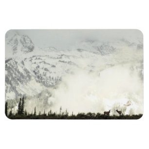 Magnet Flexible Elk at Grand Teton National Park Photographie