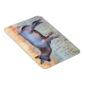 Magnet Flexible Elk de veau | Madison Junction, Wyoming (Côté Droit)