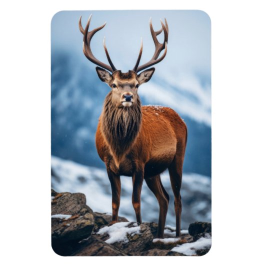 Magnet Flexible Elk magnétique (Vertical)