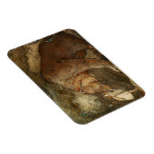 Magnet Flexible "Elle a embrassé l'ours" par John Bauer (Côté Droit)