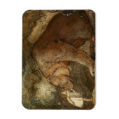 Magnet Flexible "Elle a embrassé l'ours" par John Bauer (Vertical)