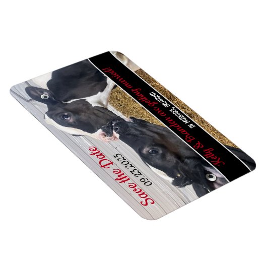 Magnet Flexible Embrasser les veaux Mariage Enregistrer la date (Côté Droit)