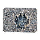 MAGNET FLEXIBLE EMPREINTE DANS LE SABLE (Horizontal)