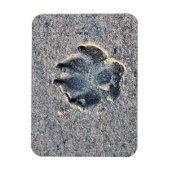 MAGNET FLEXIBLE EMPREINTE DANS LE SABLE (Vertical)