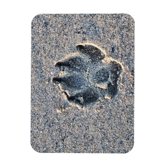 MAGNET FLEXIBLE EMPREINTE DANS LE SABLE (Vertical)