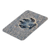 MAGNET FLEXIBLE EMPREINTE DANS LE SABLE (Côté Gauche)