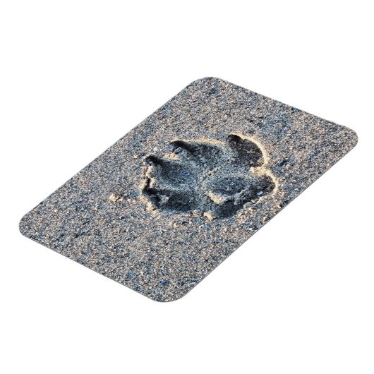 MAGNET FLEXIBLE EMPREINTE DANS LE SABLE (Côté Gauche)