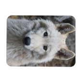 MAGNET FLEXIBLE EN BLANC (Horizontal)